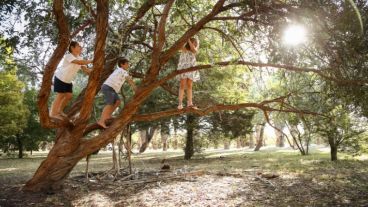 Un lugar encantador en la ciudad.