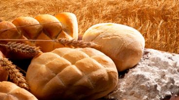 "Los efectos biológicos del glifosato contribuyen al surgimiento de la patología“, afirma el documento.