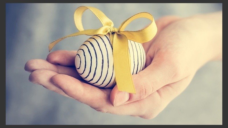 La transferencia se hace en un quirófano para mantener un ambiente de asepsia, pero no requiere anestesia para la paciente.