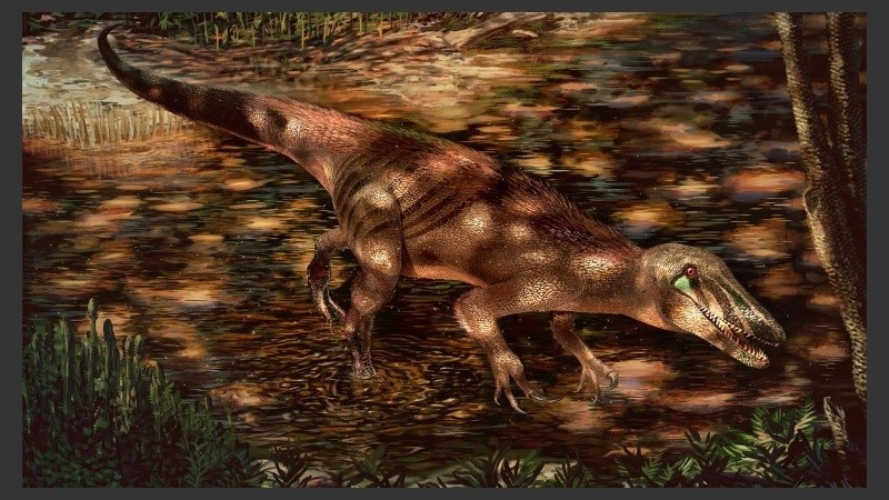 La especie habitó la Patagonia hace millones de años.