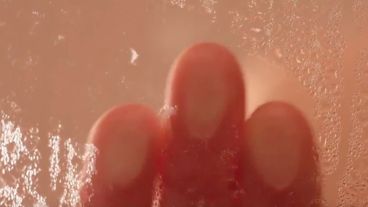 Los vidrios mojados.