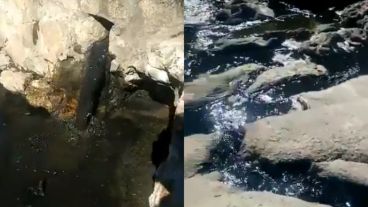 El momento donde cae un líquido oscuro al río.