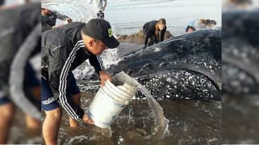 Desde primera hora vecinos y turistas se acercaron para sumarse a los especialistas con palas y baldes.