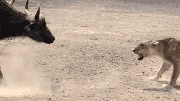 Uno de los momentos del enfrentamiento.