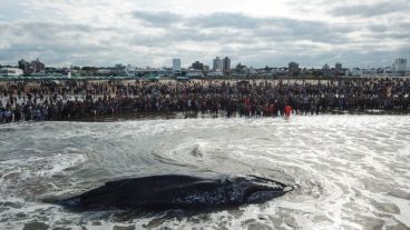 Dos días de trabajos en la costa no fueron suficientes.