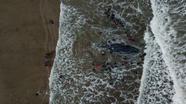Dos días de trabajos en la costa no fueron suficientes.