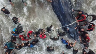 Dos días de trabajos en la costa no fueron suficientes.