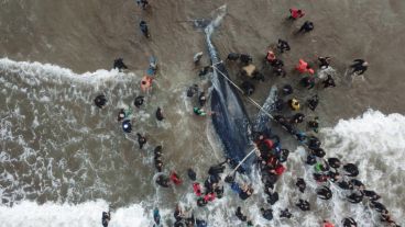Dos días de trabajos en la costa no fueron suficientes.