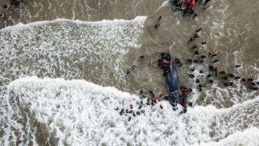 Dos días de trabajos en la costa no fueron suficientes.