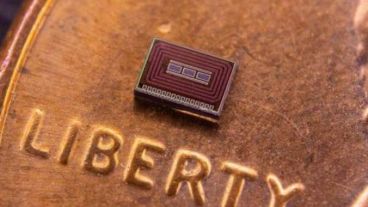 El chip biosensor mide aproximadamente un milímetro cúbico de tamaño.