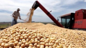 La estimación de la producción nacional de soja alcanzaría las 40 millones de toneladas este año.