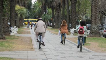 El proyecto busca que los ciclistas no circulen más por el cantero central de Oroño.