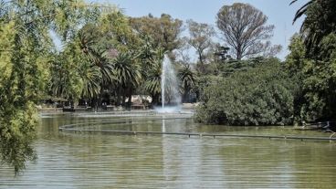 El domingo estará agradable, para ir al parque.
