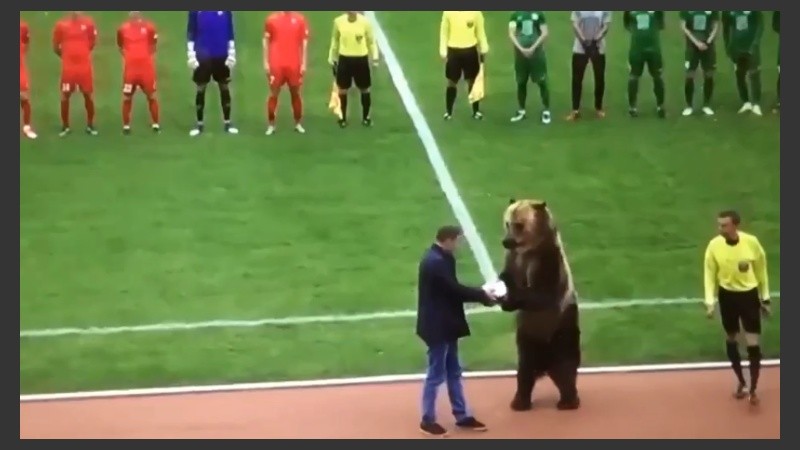 El oso agarró el balón y después se lo entregó al árbitro.