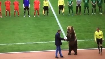 El oso agarró el balón y después se lo entregó al árbitro.