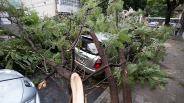 Montevideo al 1300, el pasado 20 de abril. Una imagen repetida en diferentes cuadras.