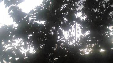 Desde ayer el cielo amenaza con lluvia.