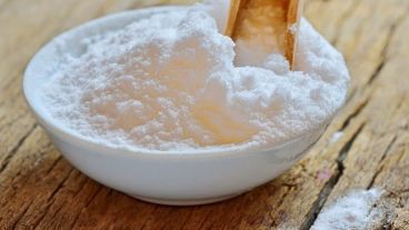 Las pruebas en ratas de laboratorio fueron muy exitosas.