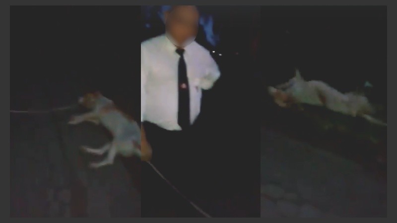 El hombre fue grabado cuando maltrataba al can.