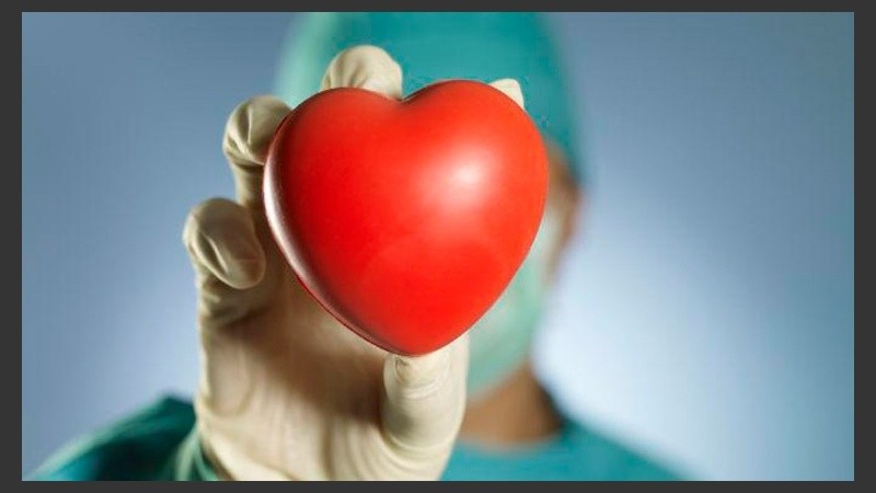 “Esos trasplantes se dividieron en 41 de órganos, 33 de córneas y 7 de válvulas cardíacas”.