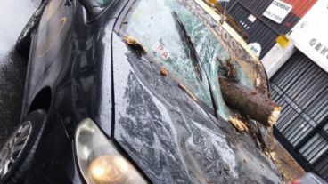 No fue tragedia de milagro.