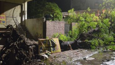 La tormenta se cobró la vida de al menos 100 personas.