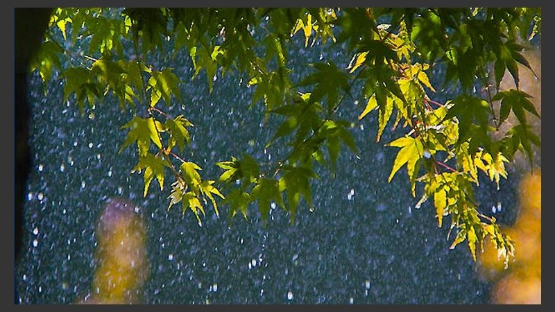 Lluvia con pronóstico de sol. 