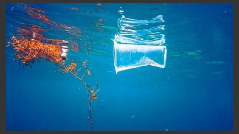 Organizaciones ecologistas reclamaron ante la contaminación en el mar.