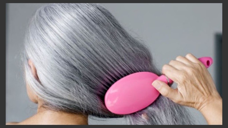 Los genes que controlan el pigmento en el cabello y la piel también funcionan para controlar el sistema inmune innato.