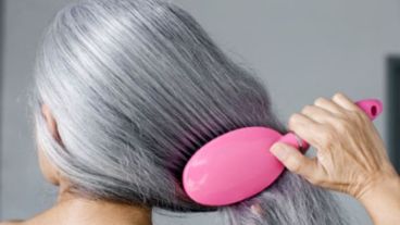 Los genes que controlan el pigmento en el cabello y la piel también funcionan para controlar el sistema inmune innato.