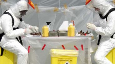 Hasta el momento sólo se confirmaron dos casos en laboratorio.