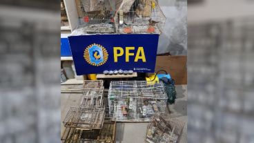 Las aves y tortugas eran llevadas desde Santa Fe a San Luis.