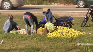 Algunos vecinos tendrán limones para rato en sus casas.