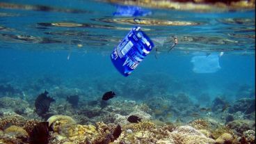 La iniciativa busca "reducir la grave contaminación del planeta".