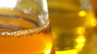 Según la Bolsa de Comercio de Rosario, la producción de biodiésel en enero y febrero fue "récord en términos históricos".