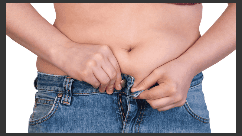 Los compuestos químicos producidos por las bacterias intestinales regulan la acumulación de grasa abdominal.