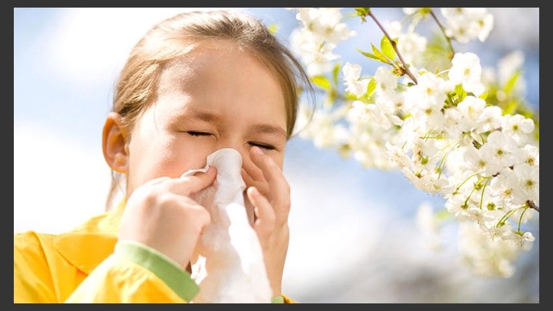 Un 30% de la población tiene genes que predisponen a manifestar una alergia.
