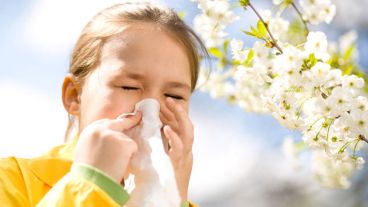 Un 30% de la población tiene genes que predisponen a manifestar una alergia.