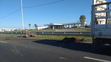 La mano norte-sur quedó interrumpida durante algunas horas.