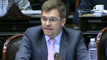 Massot durante su exposición en la Cámara baja.