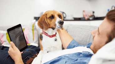 La tecnología también evolucionó de cara a nuestros perros y mascotas