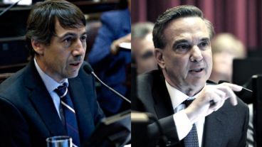 Naidenoff y Pichetto se pronunciaron a favor de la despenalización del aborto.