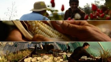 Capturas del documental “La voz del viento. Semillas de transición”, de Carlos Pons.