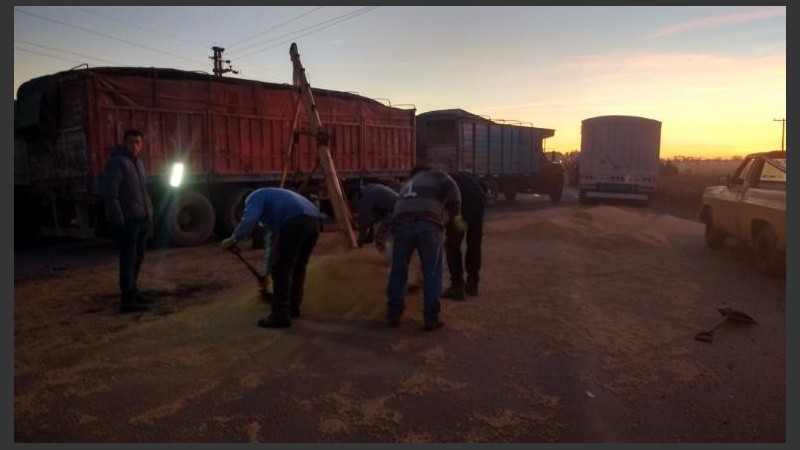 Recogían el cereal derramado sobre la ruta. 