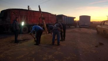 Recogían el cereal derramado sobre la ruta.