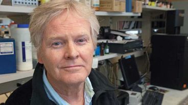 “Para un adulto estaría bien dormir siete horas, de noche y en el mismo horario", dijo Young.