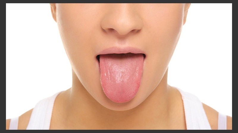 La lengua tiene una diversidad de músculos enorme, lo que permite que tengamos una gran movilidad.
