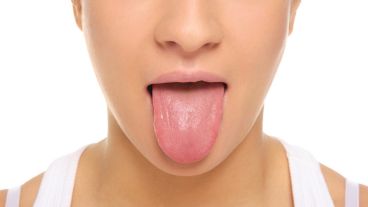 La lengua tiene una diversidad de músculos enorme, lo que permite que tengamos una gran movilidad.