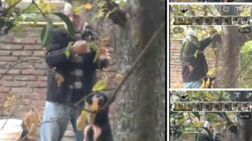 Imágenes del fuerte video.