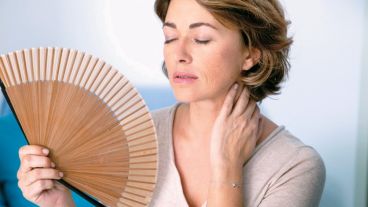 Los calores en los seres humanos son una consecuencia directa de una caída brusca en los niveles de hormonas sexuales.